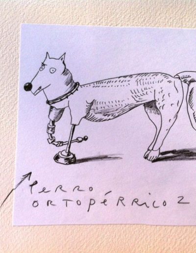 PERRO ORTOPÉDICO